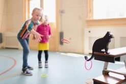 Kattenstaart Gooien – BS Toys 11 Kattenstaart Gooien – BS Toys -Indoor Speelgoed Winkel kattenstaart gooien bstoys ga327 3