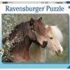 Mooie Paarden – Ravensburger – 150 Stukjes XXL -Indoor Speelgoed Winkel mooie paarden ravensburger puzzel