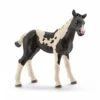 Schleich 13803 Pinto Veulen HorseClub 2 Schleich 13803 Pinto Veulen HorseClub -Indoor Speelgoed Winkel schleich 13803 pinto veulen 1
