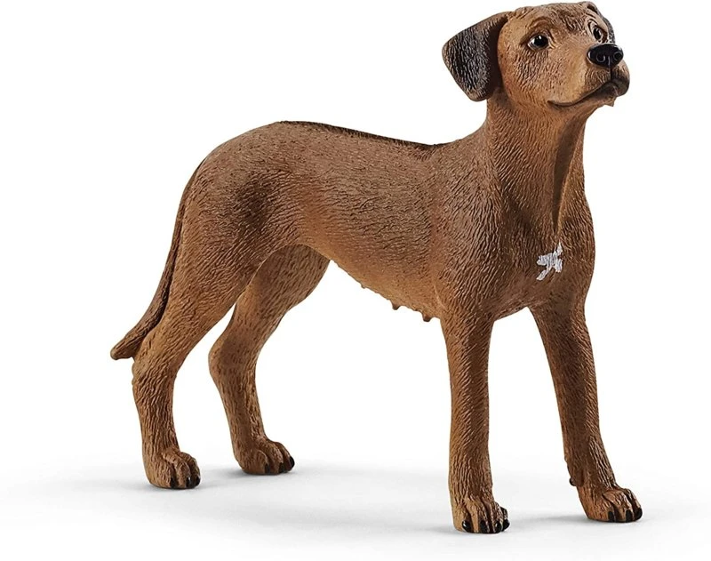 Schleich 13895 Leeuwhond FarmWorld 3 Schleich 13895 Leeuwhond FarmWorld