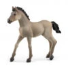 Schleich 13949 Criollo Definitivo Veulen HorseClub -Indoor Speelgoed Winkel schleich 13949 criollo definitivo foal