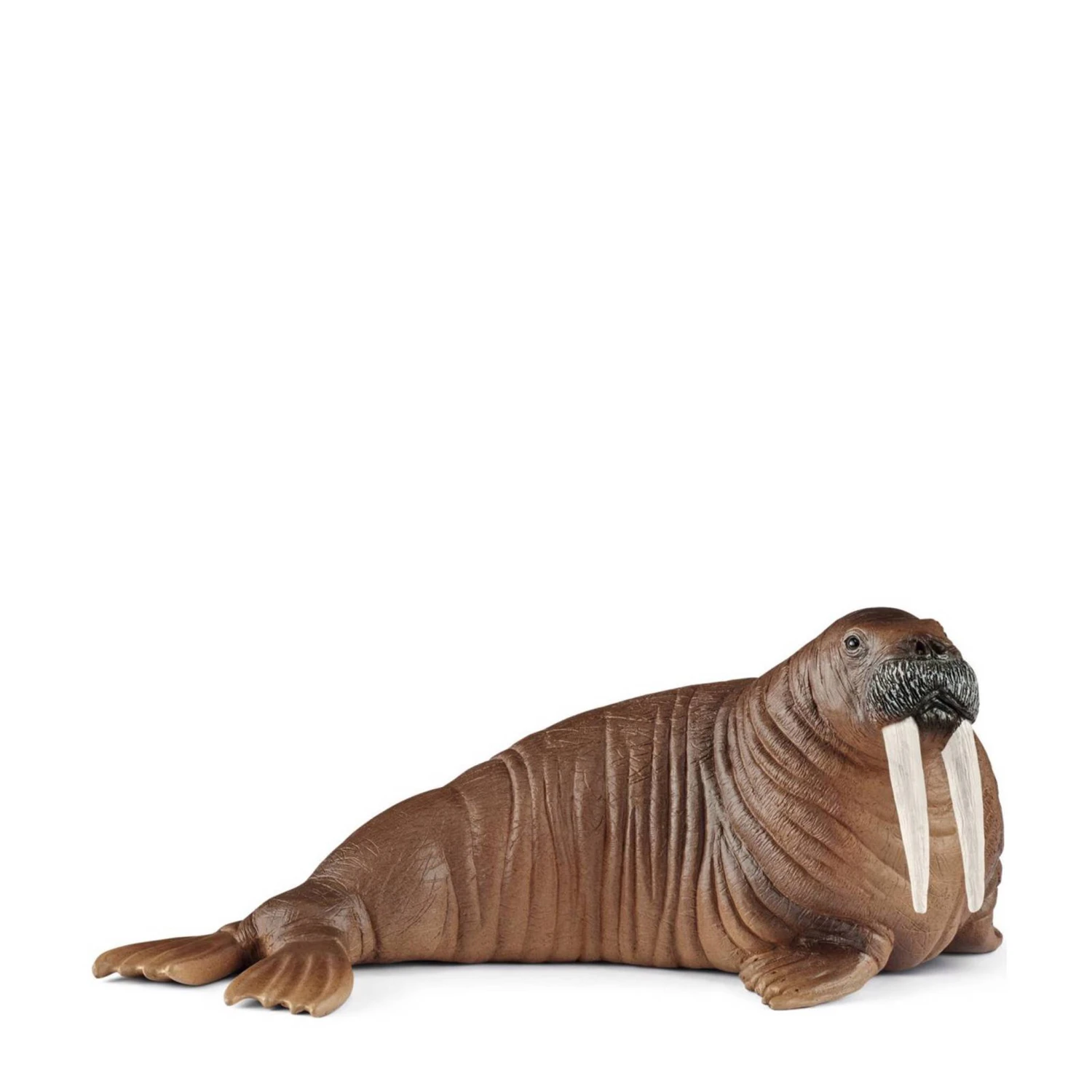 Schleich 14803 Walrus WildLife 3 Schleich 14803 Walrus WildLife