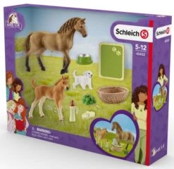 Schleich 42432 Babydieren Verzorgingsset Horse Club -Indoor Speelgoed Winkel schleich 42432 babydieren verzorgingsset 1 1